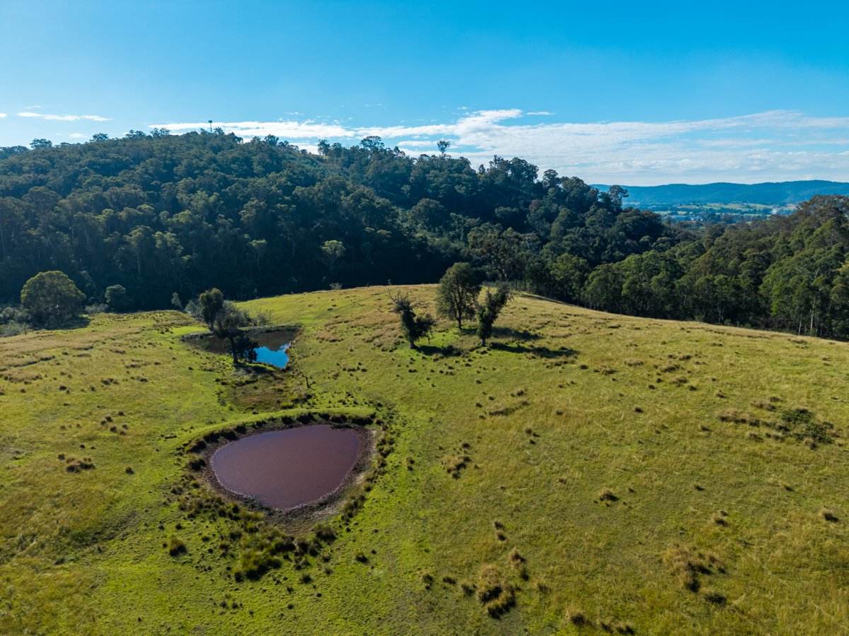 170 Peak Hill Road, Bega For Sale by Farmbuy.com - image 16