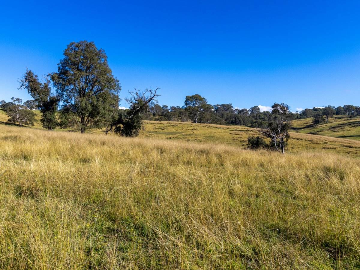 170 Peak Hill Road, Bega For Sale by Farmbuy.com - image 10