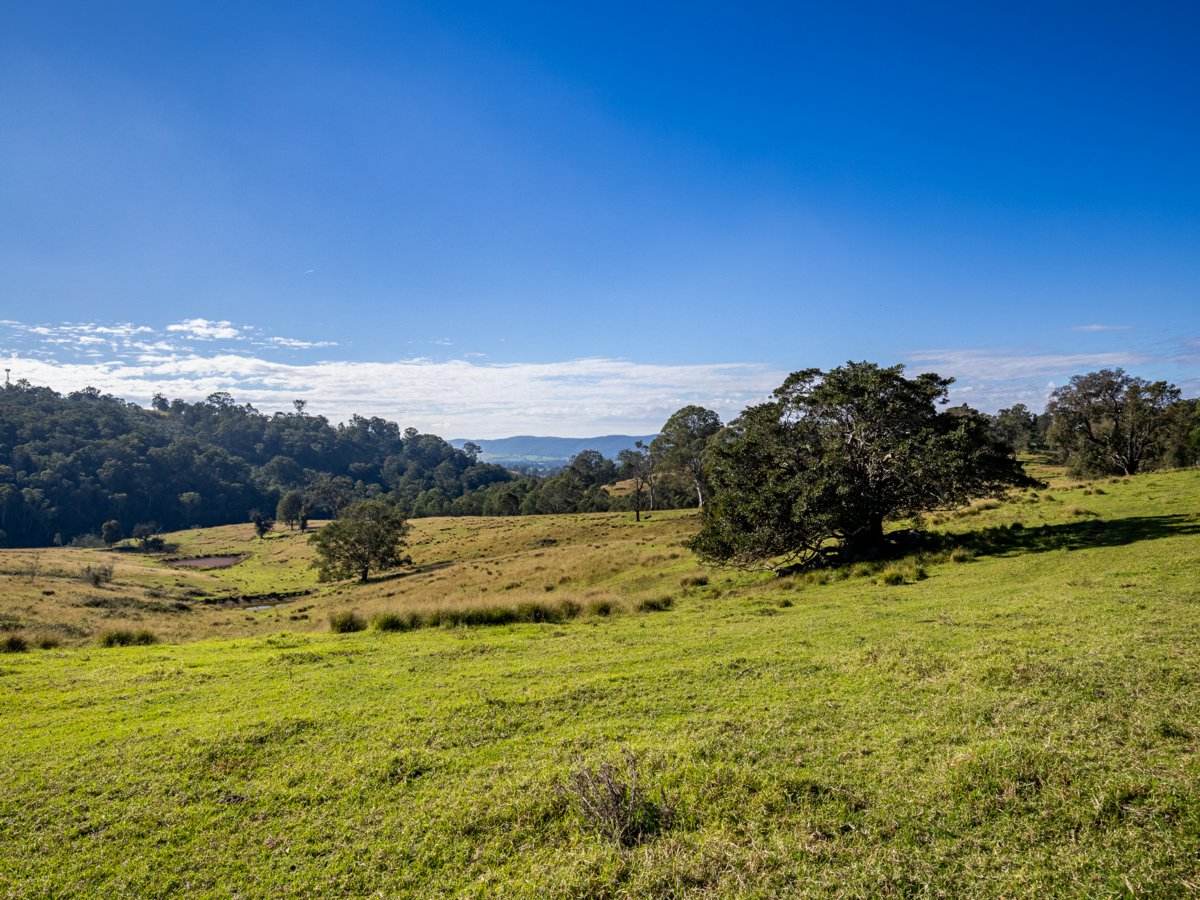 170 Peak Hill Road, Bega For Sale by Farmbuy.com - image 12