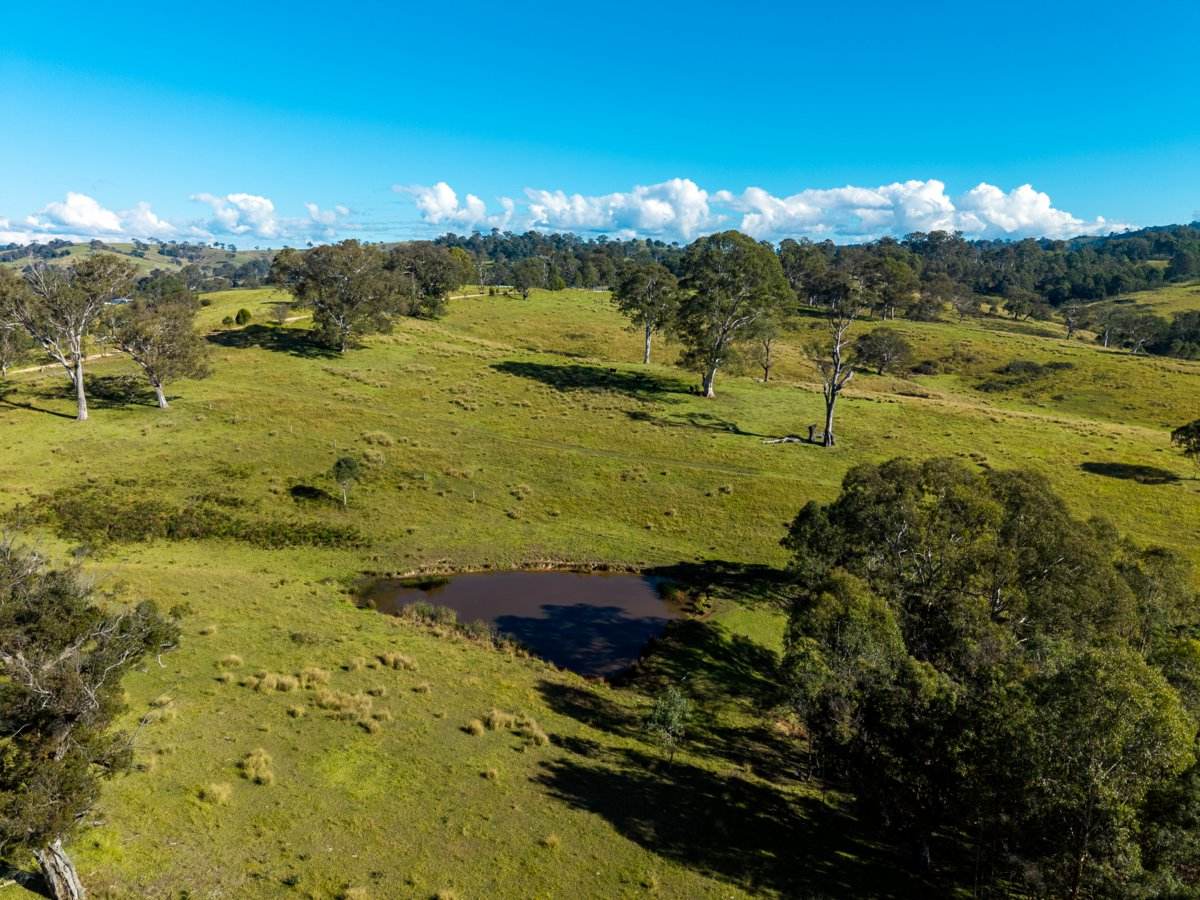 170 Peak Hill Road, Bega For Sale by Farmbuy.com - image 19