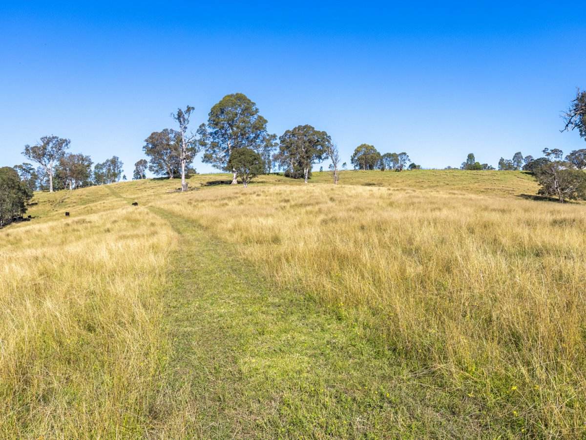 170 Peak Hill Road, Bega For Sale by Farmbuy.com - image 4