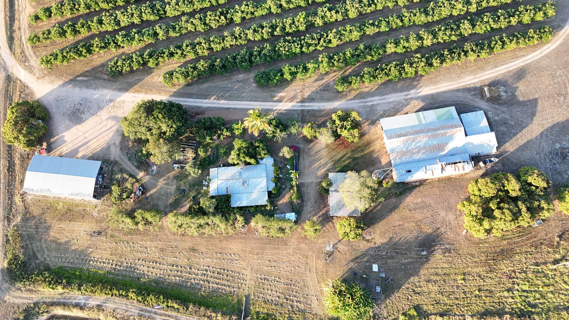919 Leafgold Weir Road, Dimbulah For Sale by Farmbuy.com - image 5