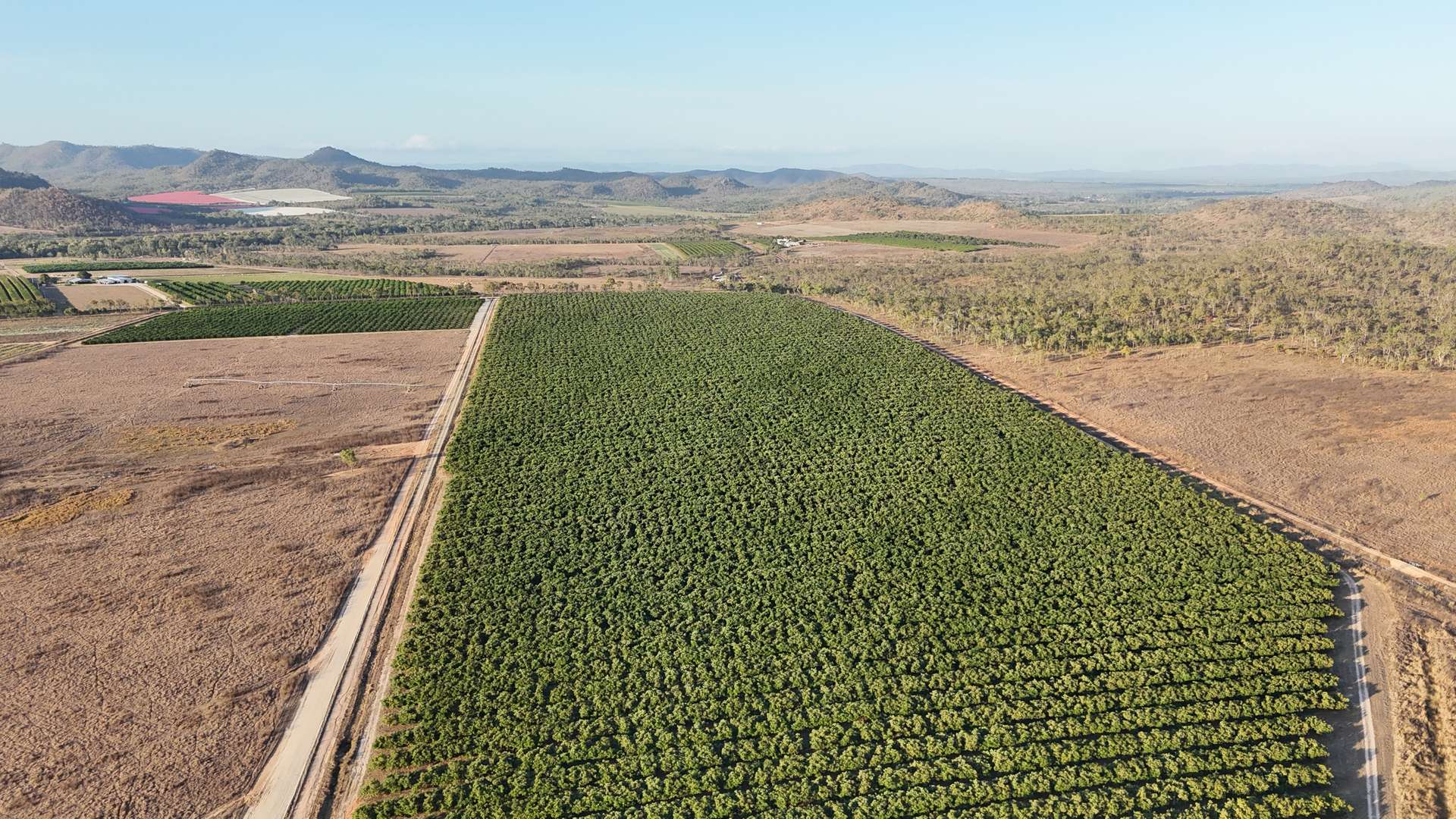 919 Leafgold Weir Road, Dimbulah For Sale by Farmbuy.com - image 22