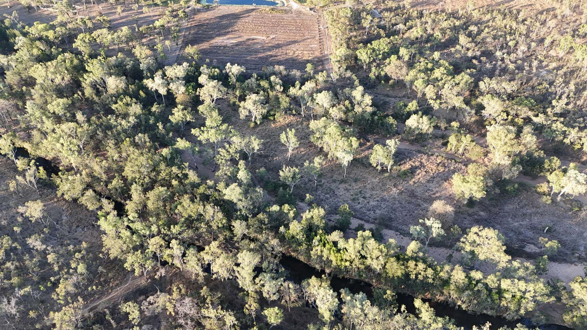 919 Leafgold Weir Road, Dimbulah For Sale by Farmbuy.com - image 23