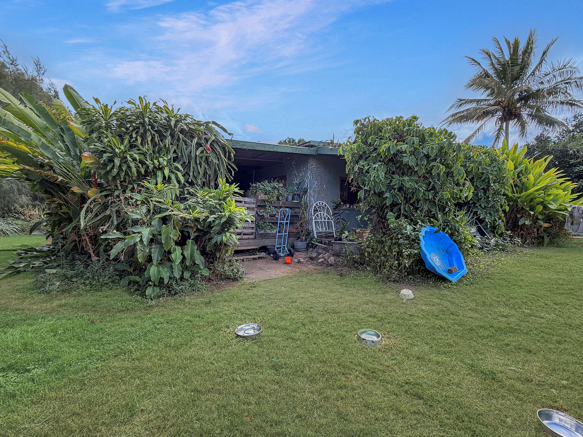 919 Leafgold Weir Road, Dimbulah For Sale by Farmbuy.com - image 29