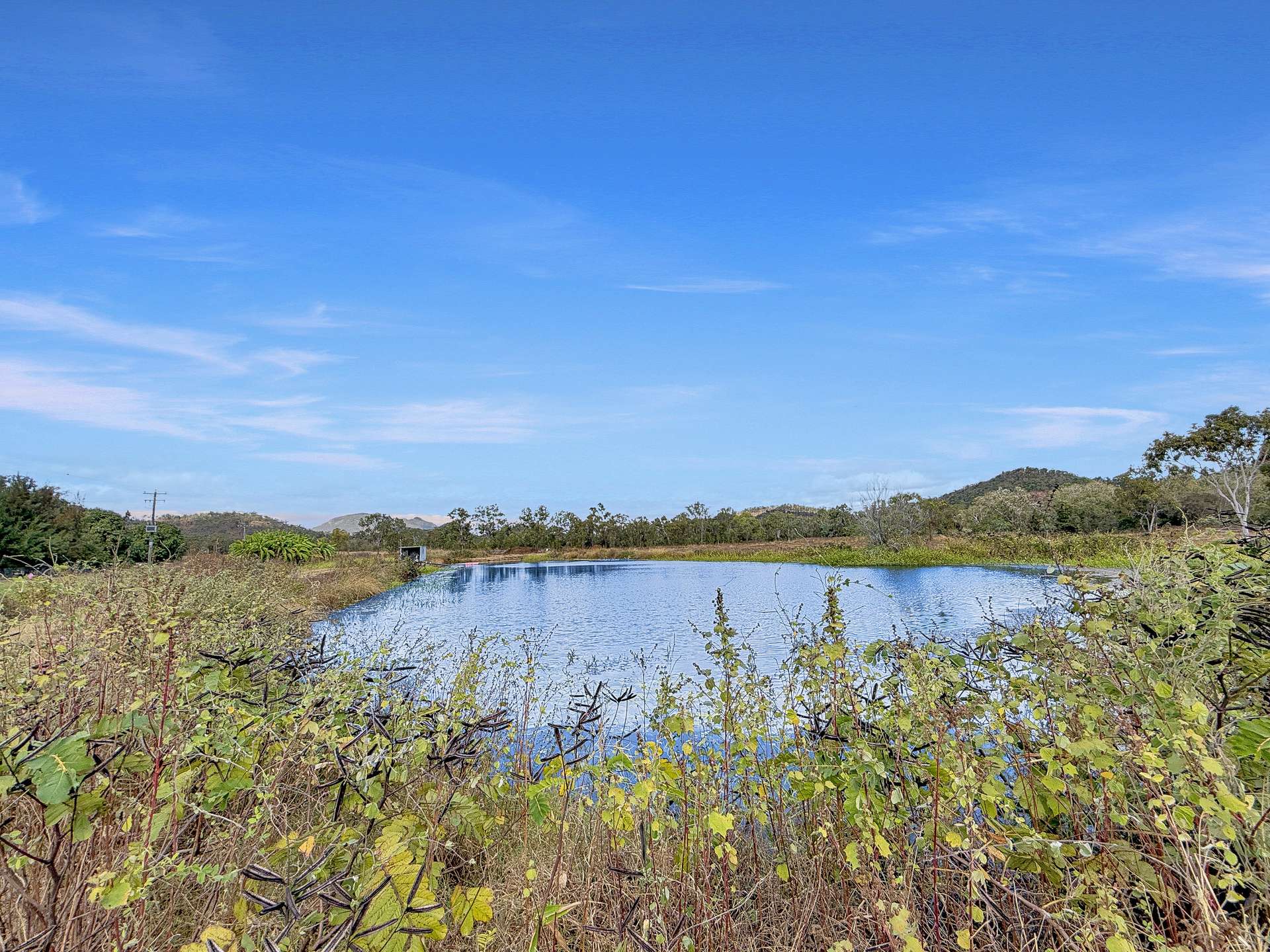 919 Leafgold Weir Road, Dimbulah For Sale by Farmbuy.com - image 31