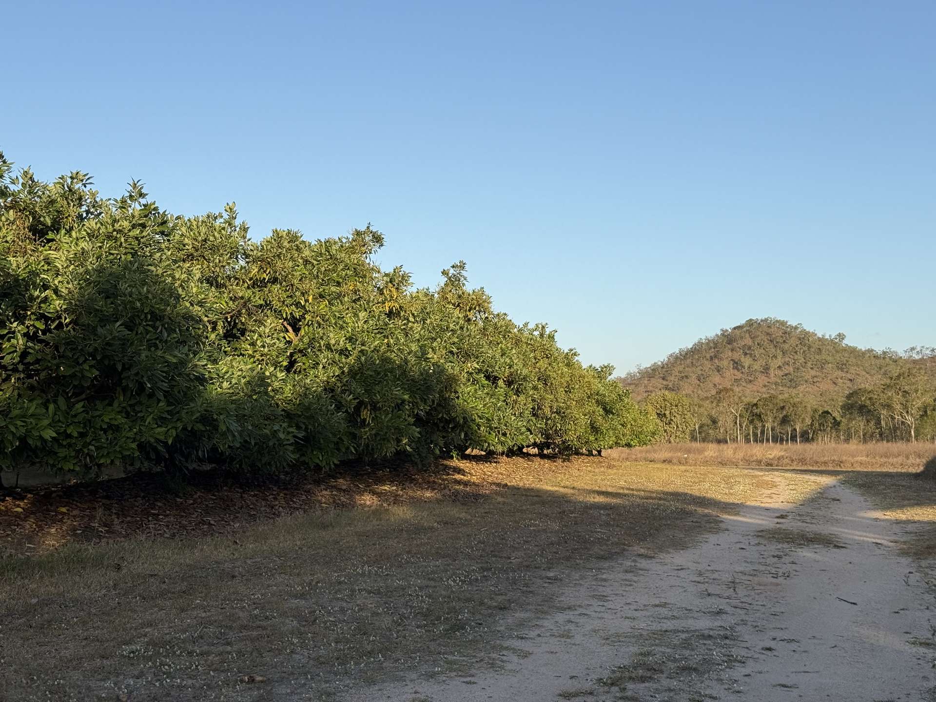 919 Leafgold Weir Road, Dimbulah For Sale by Farmbuy.com - image 15