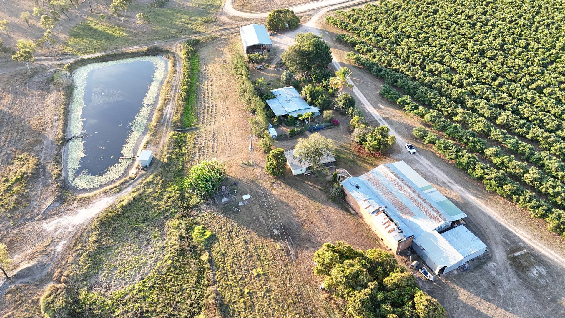 919 Leafgold Weir Road, Dimbulah For Sale by Farmbuy.com - image 12