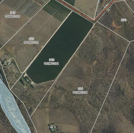 919 Leafgold Weir Road, Dimbulah For Sale by Farmbuy.com - image 26