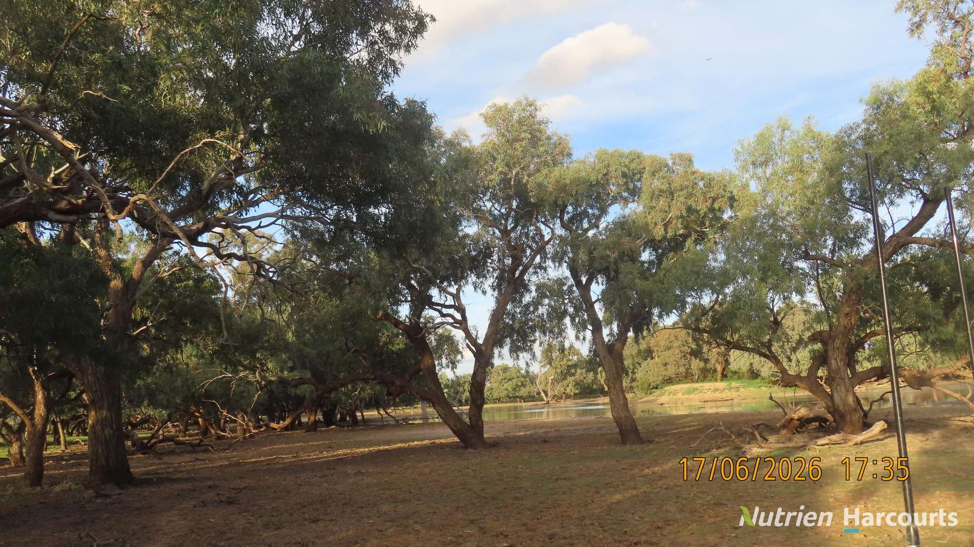 * Borrona Downs Station, Broken Hill Auction by Farmbuy.com - image 18