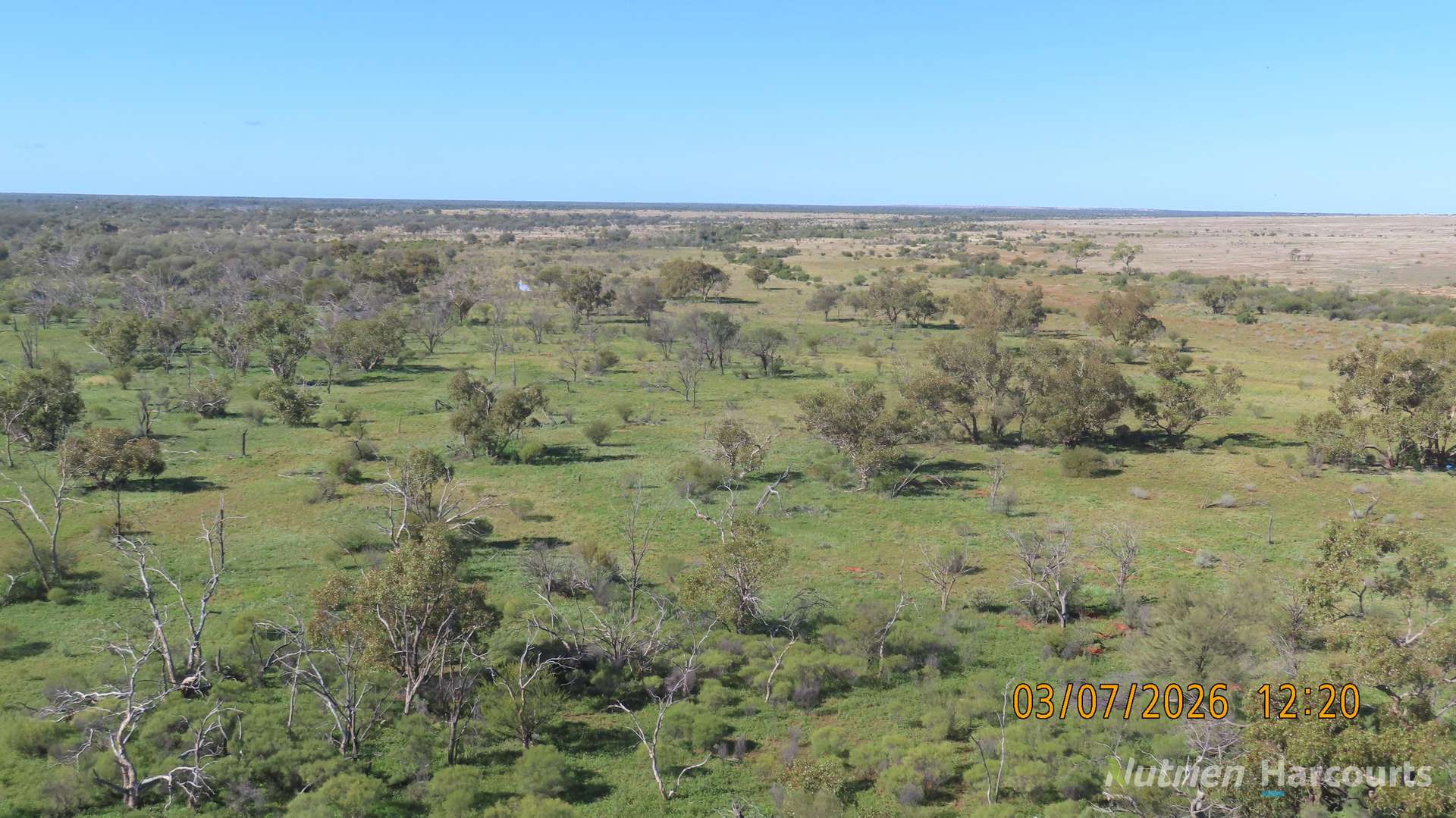 * Borrona Downs Station, Broken Hill Auction by Farmbuy.com - image 28