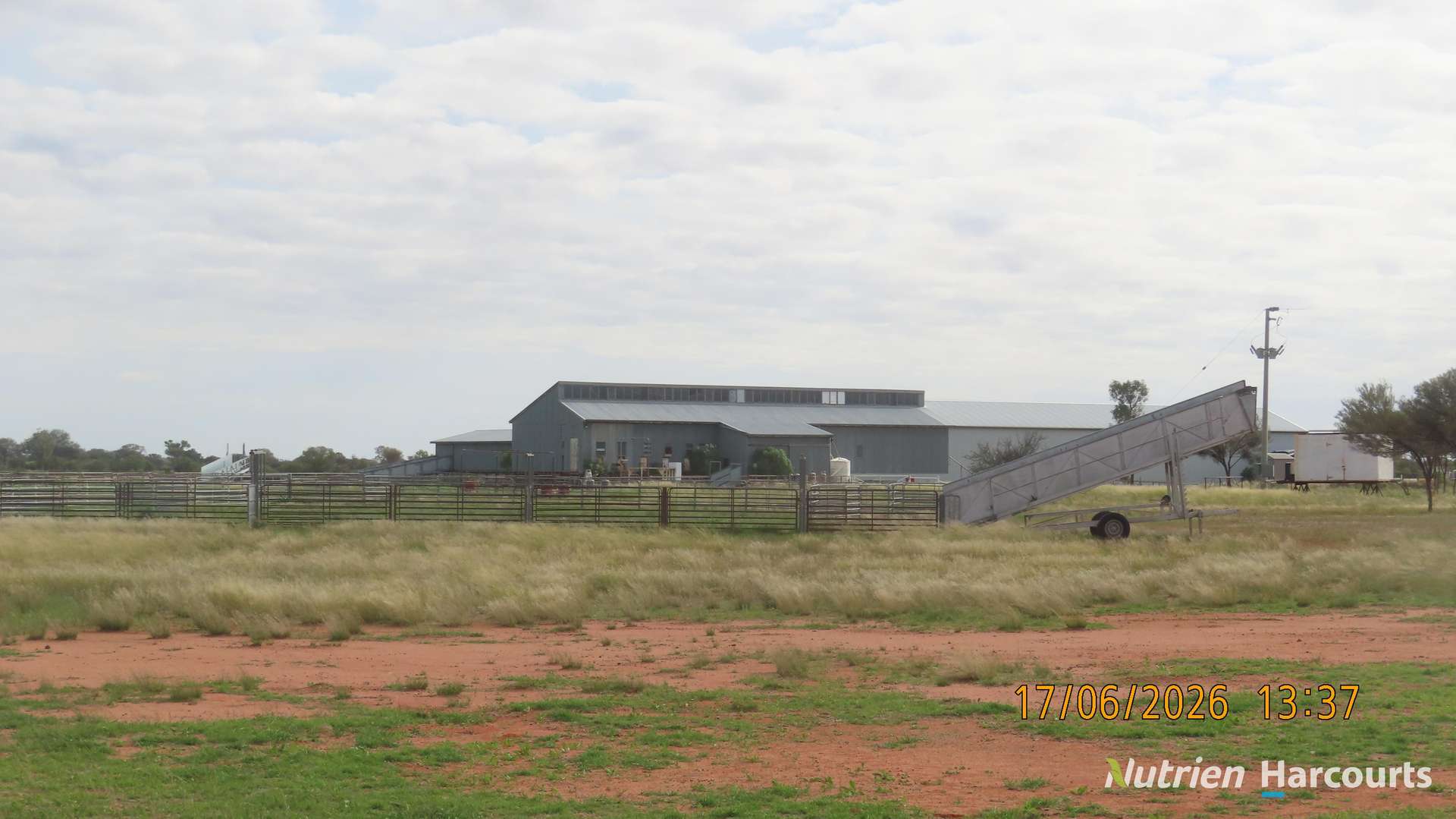 * Borrona Downs Station, Broken Hill Auction by Farmbuy.com - image 13