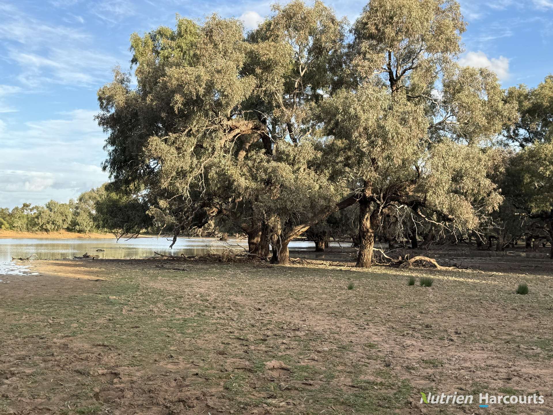 * Borrona Downs Station, Broken Hill Auction by Farmbuy.com - image 10