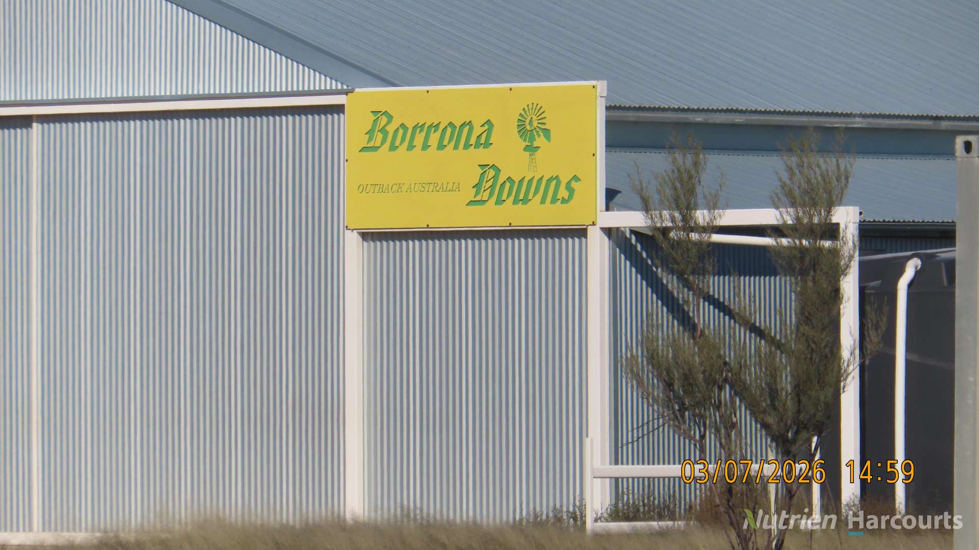 * Borrona Downs Station, Broken Hill Auction by Farmbuy.com - image 34