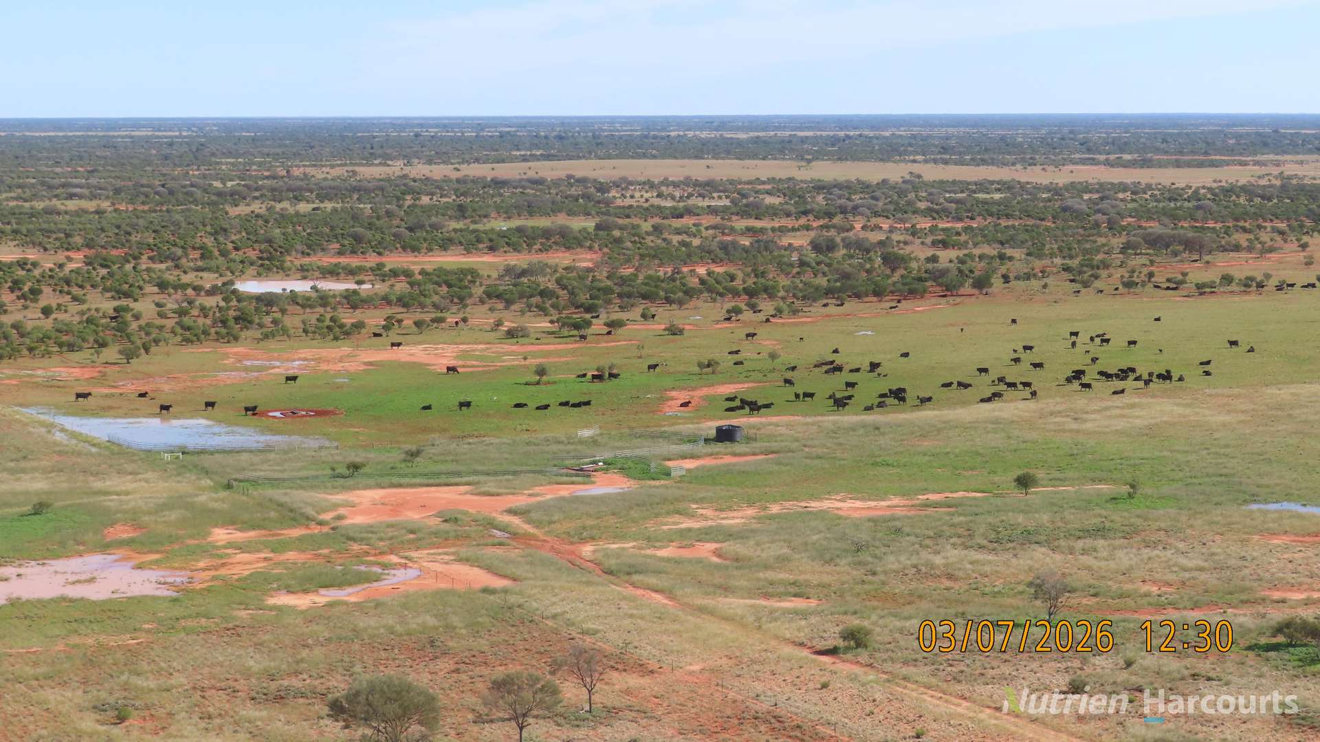 * Borrona Downs Station, Broken Hill Auction by Farmbuy.com - image 1