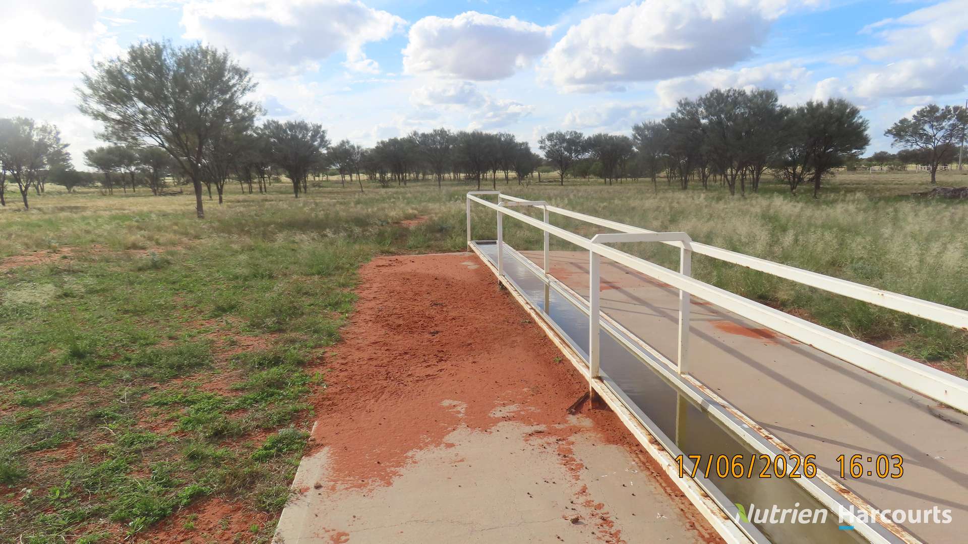 * Borrona Downs Station, Broken Hill Auction by Farmbuy.com - image 15