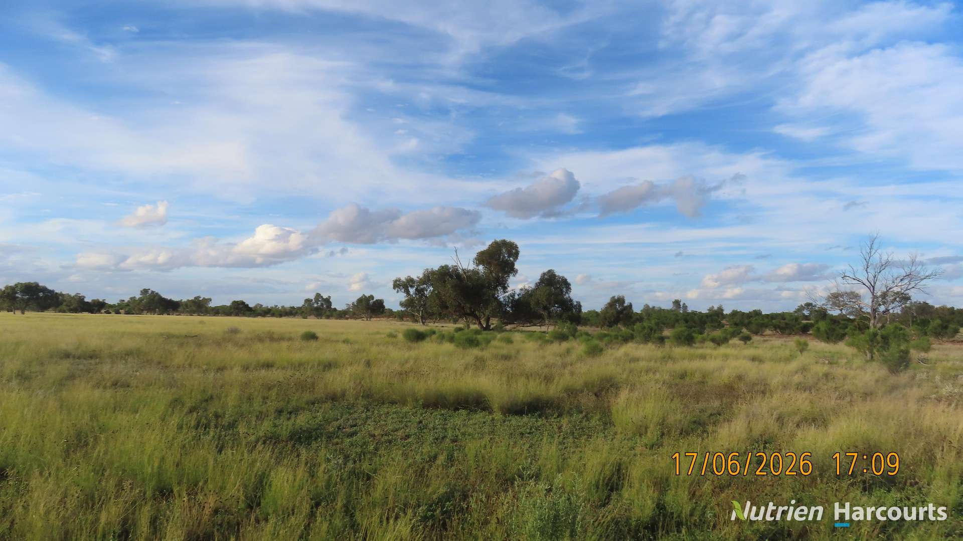 * Borrona Downs Station, Broken Hill Auction by Farmbuy.com - image 17