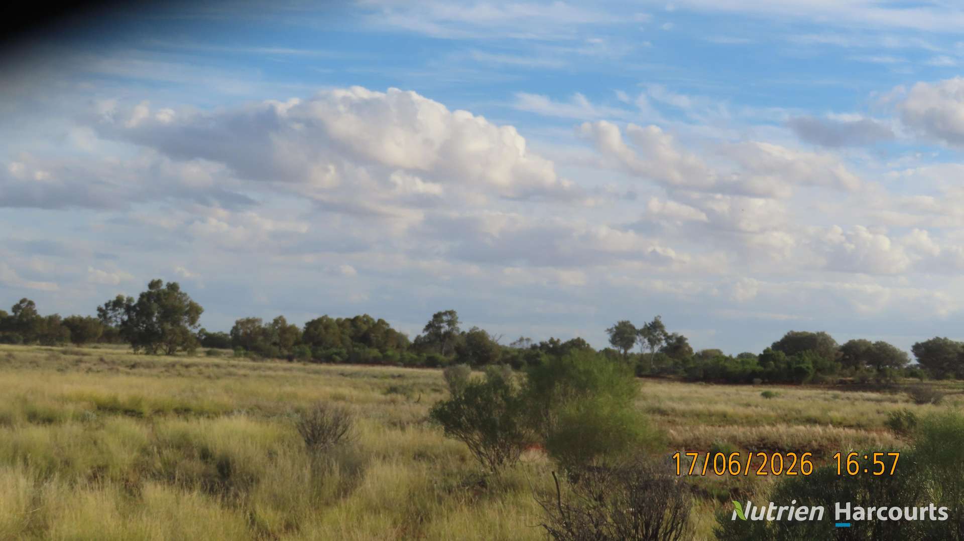 * Borrona Downs Station, Broken Hill Auction by Farmbuy.com - image 16