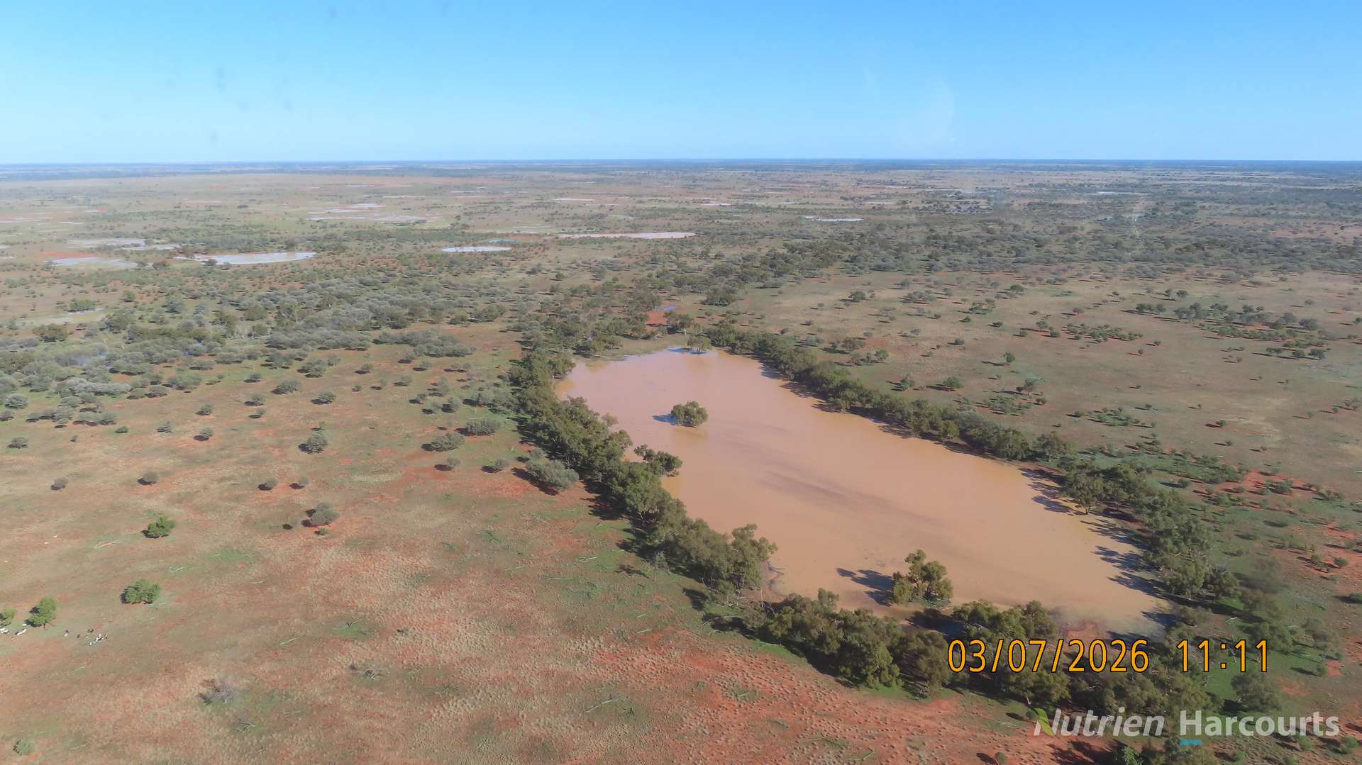 * Borrona Downs Station, Broken Hill Auction by Farmbuy.com - image 22