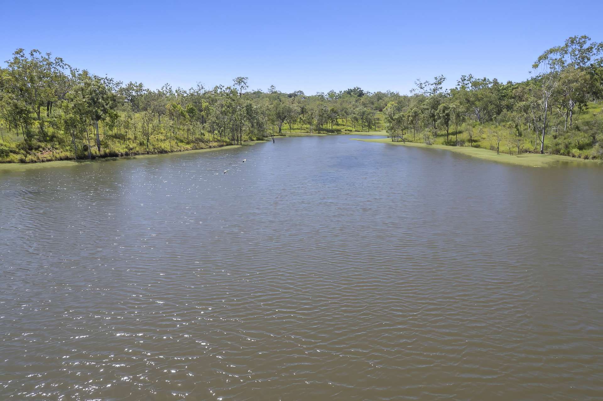 484 Fichera Road, Mareeba For Sale by Farmbuy.com - image 4