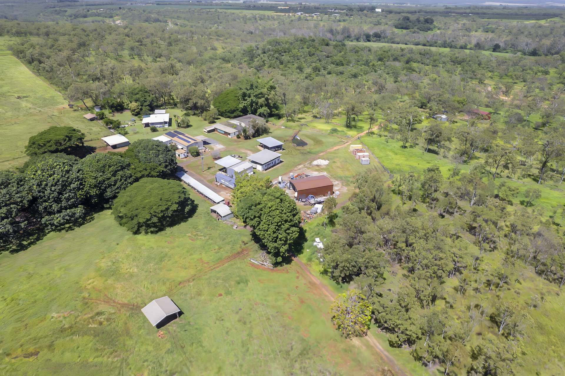 484 Fichera Road, Mareeba For Sale by Farmbuy.com - image 19
