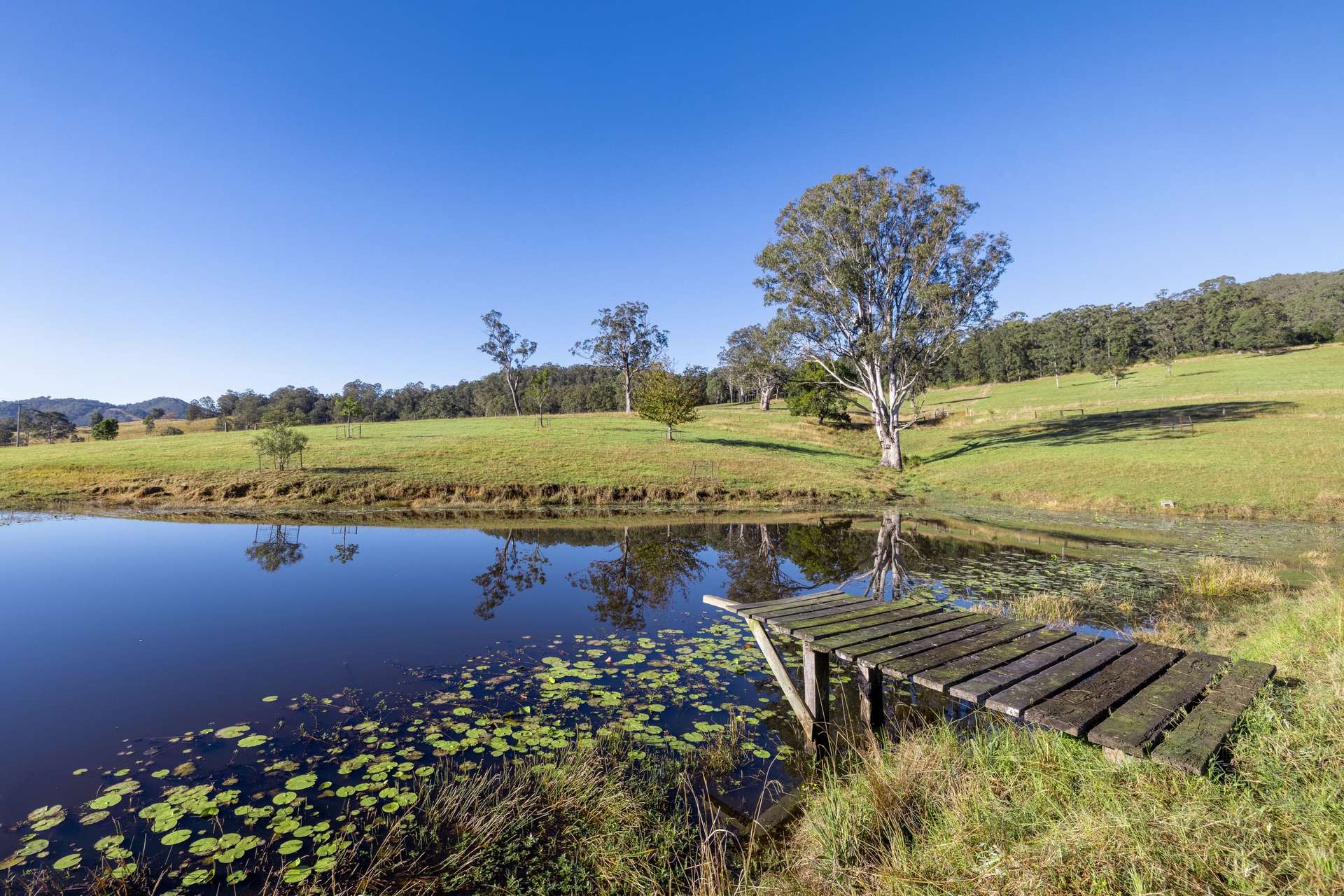 29 Mount Pleasant Road, Wherrol Flat Auction by Farmbuy.com - image 27