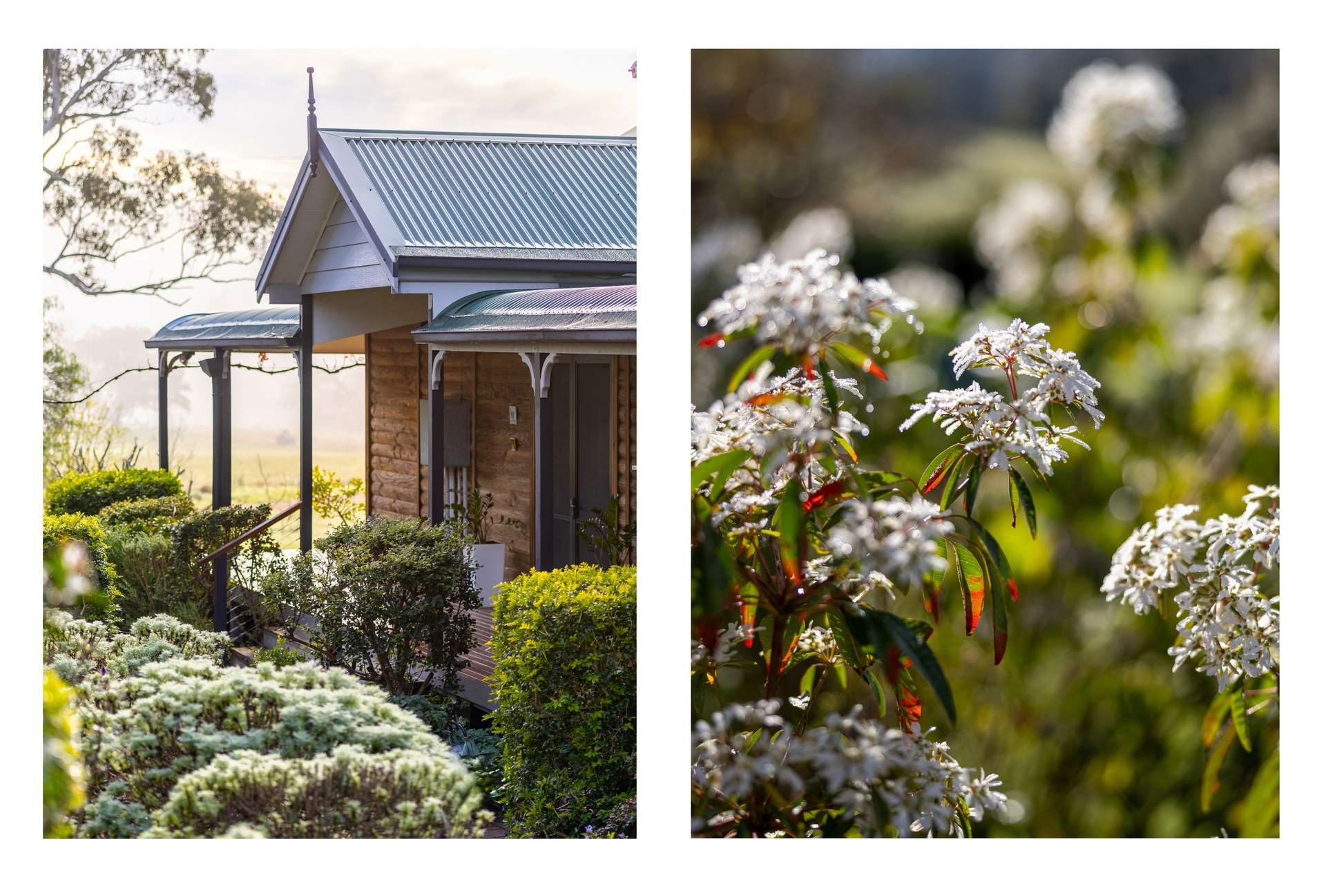 29 Mount Pleasant Road, Wherrol Flat Auction by Farmbuy.com - image 6