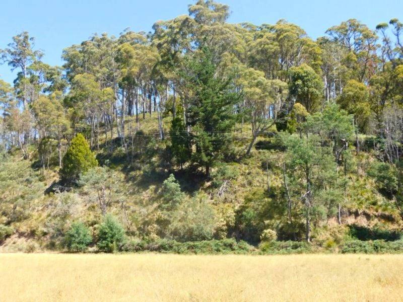 90 Eton Road, Mathinna For Sale by Farmbuy.com - image 7