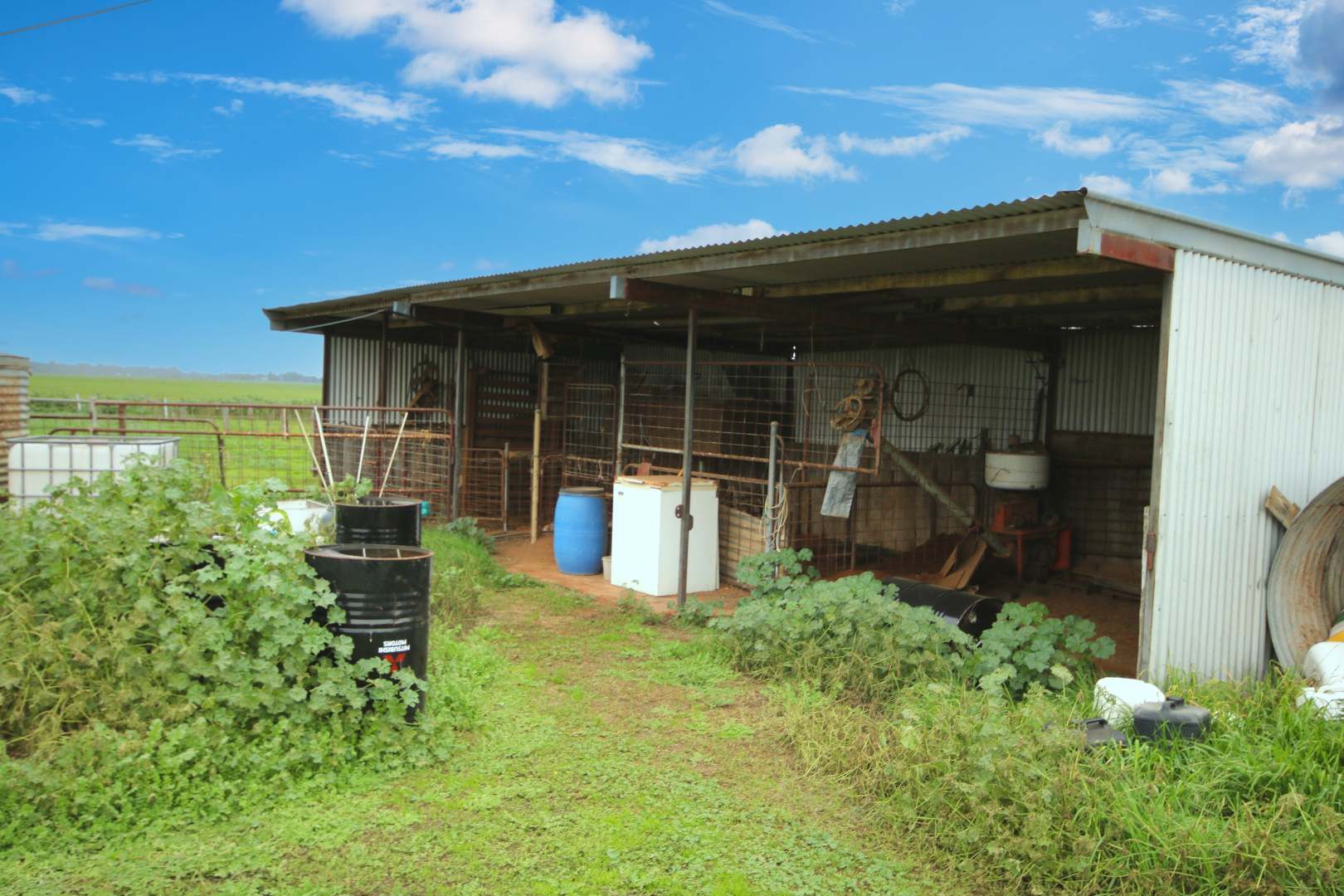 121 Dingee Road, Rochester For Sale by Farmbuy.com - image 16