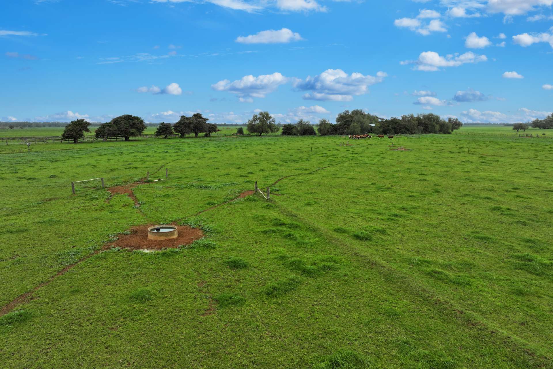 121 Dingee Road, Rochester For Sale by Farmbuy.com - image 21