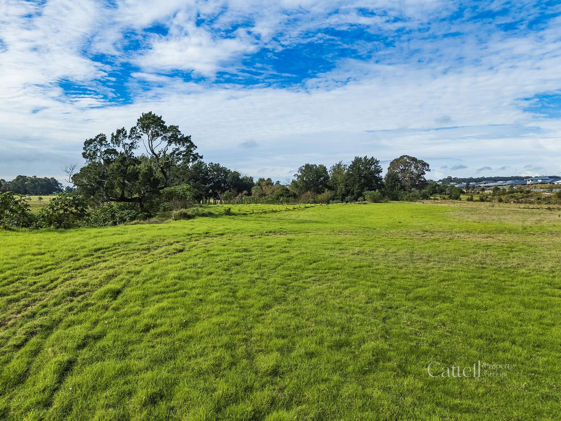 39 Cullami Street, Anambah For Sale by Farmbuy.com - image 14