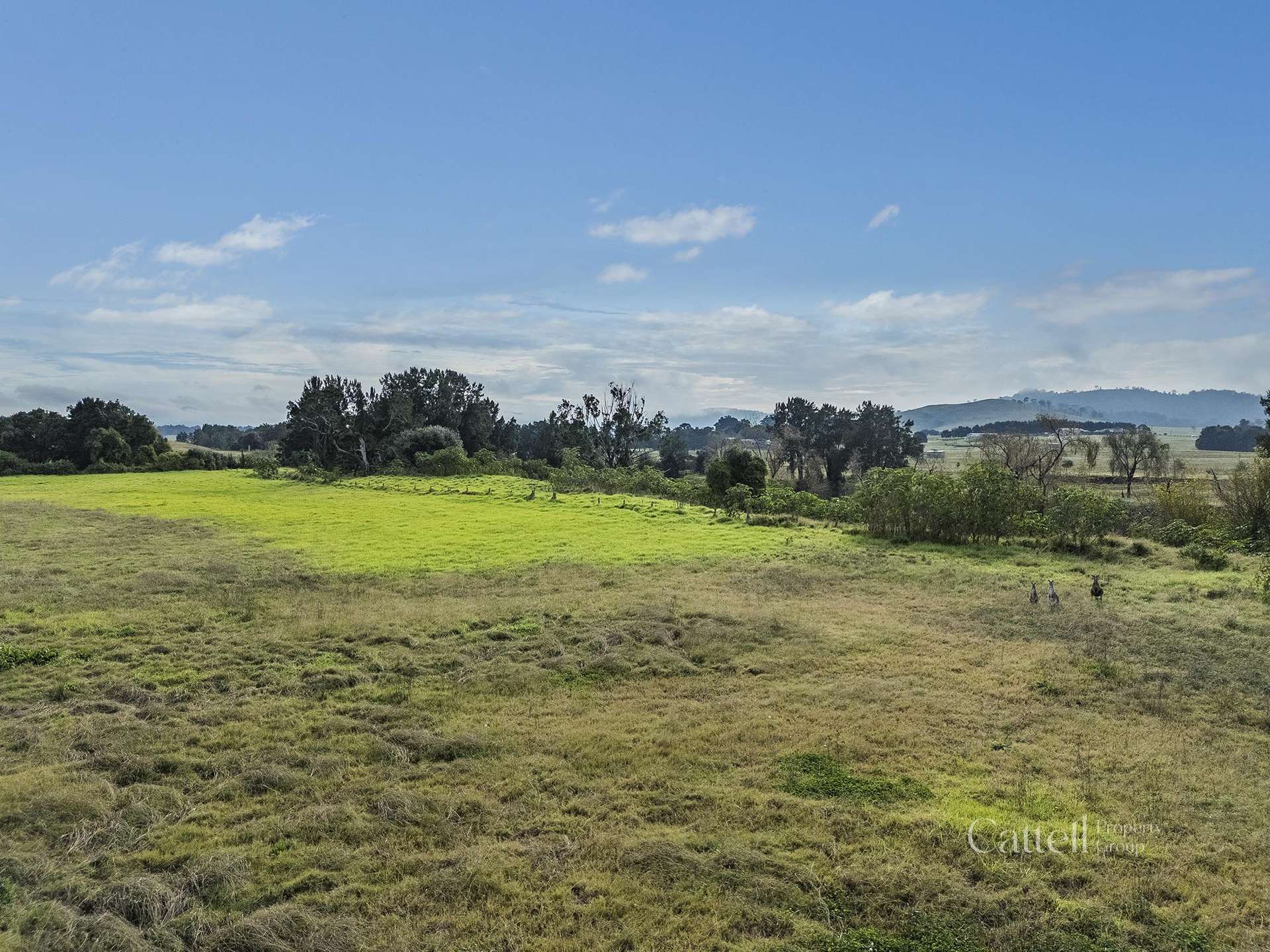 39 Cullami Street, Anambah For Sale by Farmbuy.com - image 13