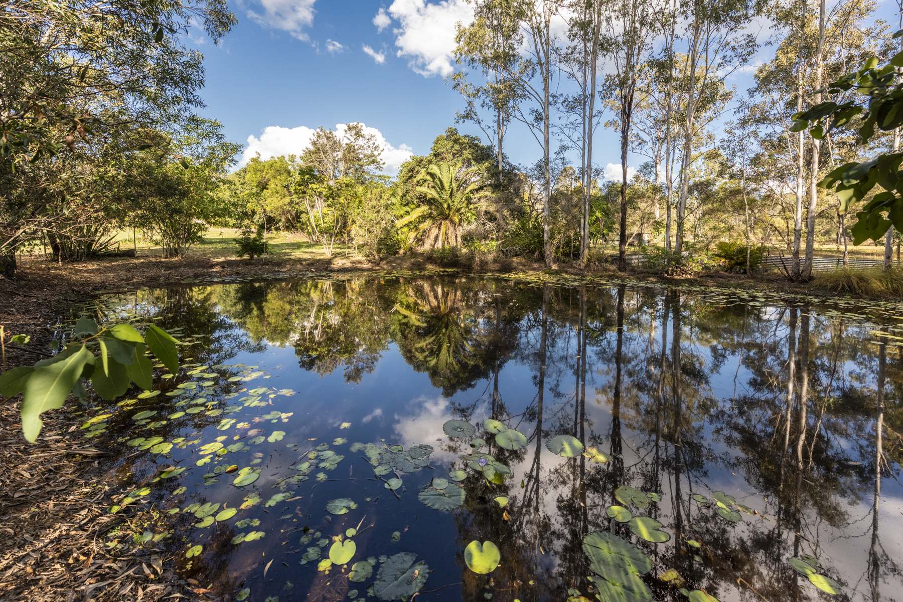 19 Jamie Avenue, Curra For Sale by Farmbuy.com - image 20