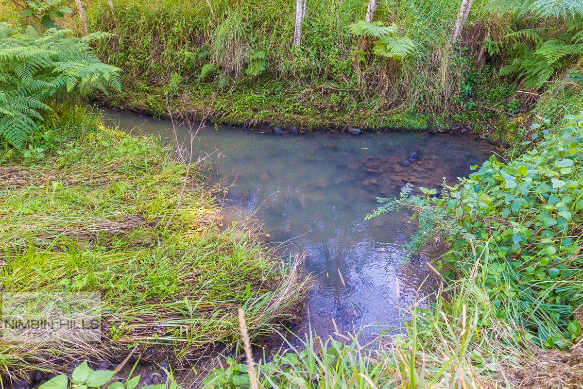 46 KIRKLAND ROAD, Nimbin For Sale by Farmbuy.com - image 23