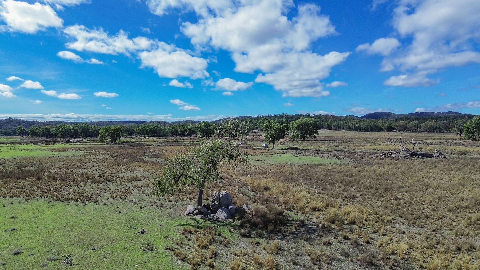 1045 Baltimore Loop Road, Atholwood For Sale by Farmbuy.com - image 11