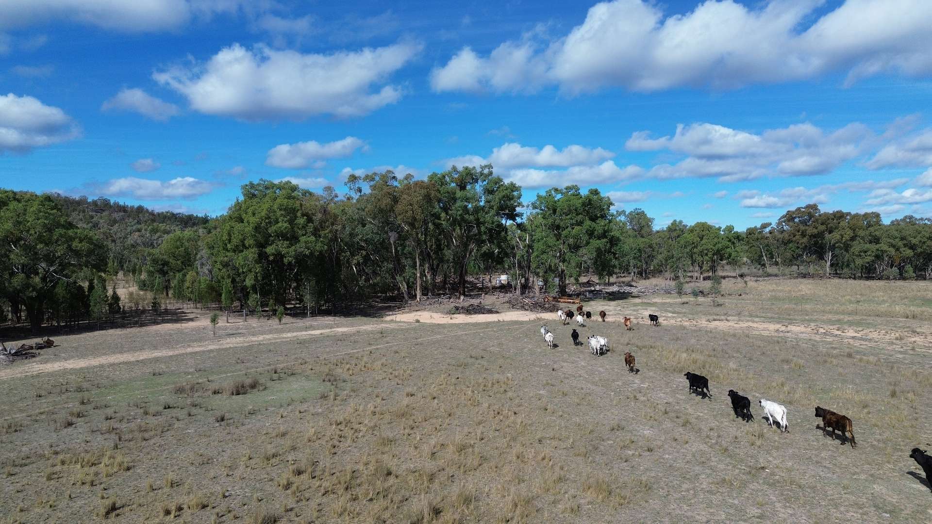 1045 Baltimore Loop Road, Atholwood For Sale by Farmbuy.com - image 32