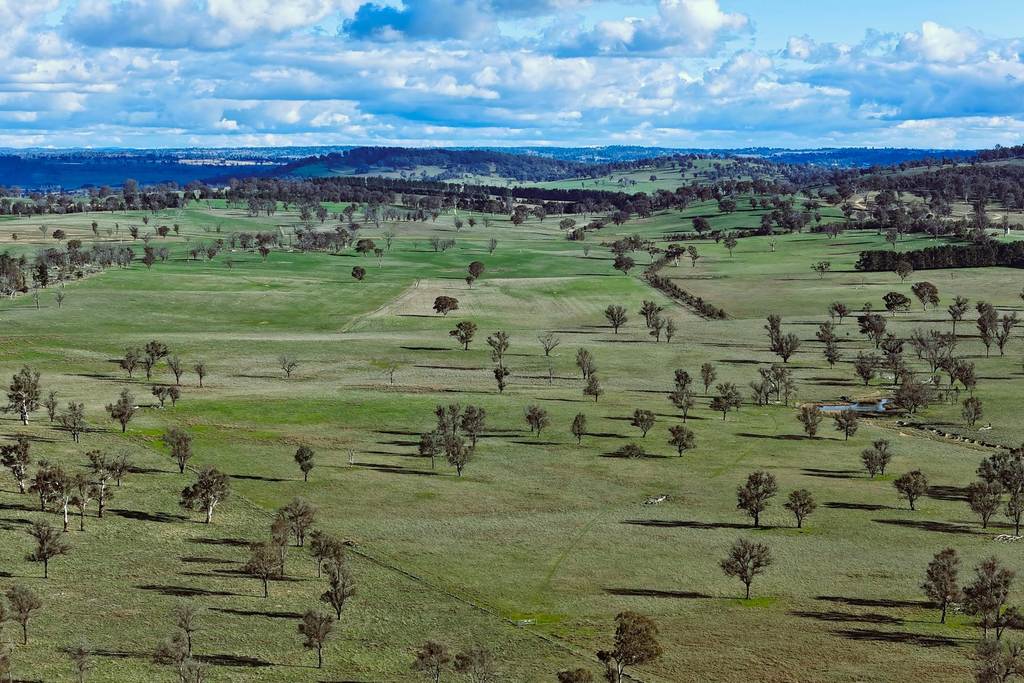 91 Gill Road, Walcha NSW 2354