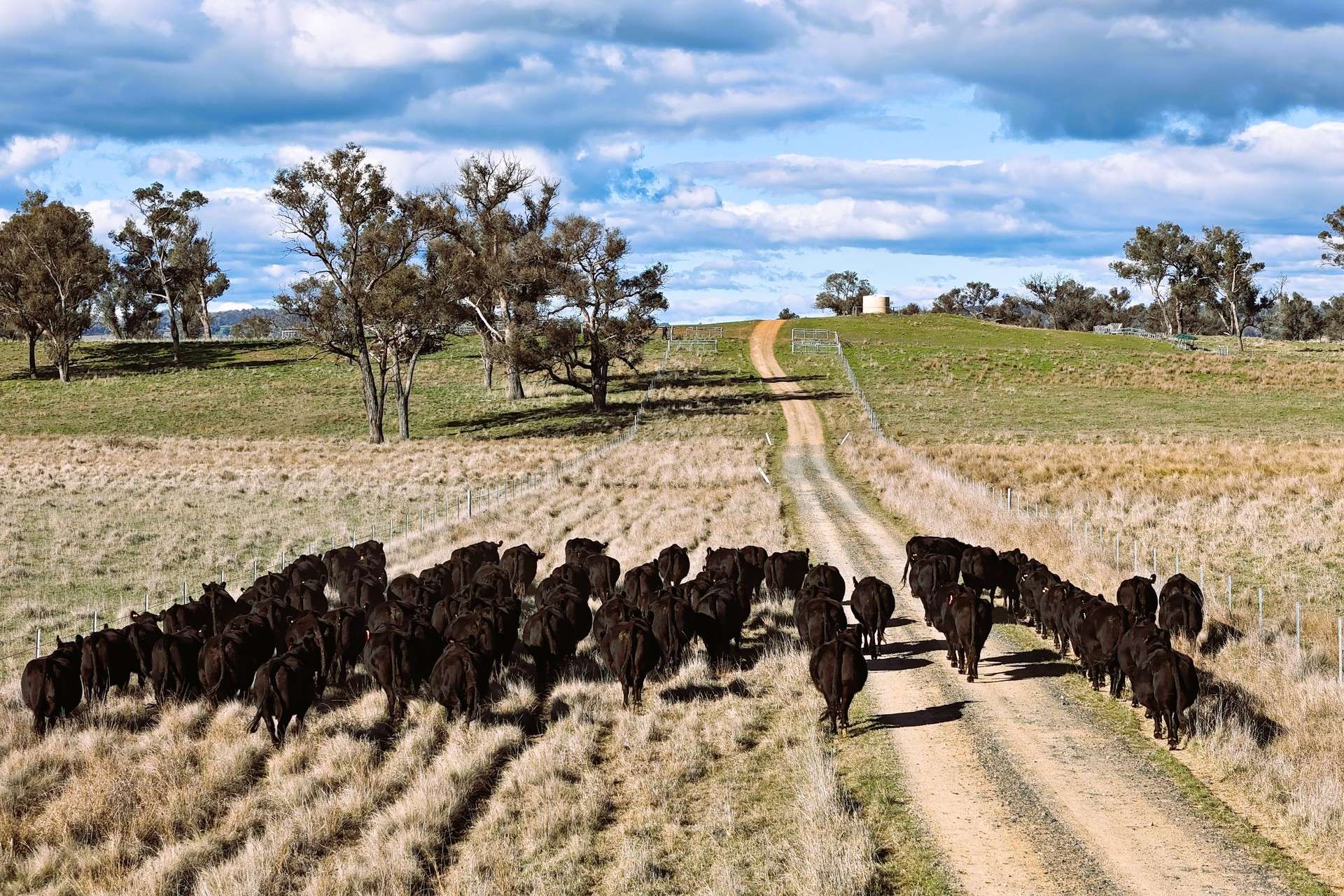 91 Gill Road, Walcha For Sale by Farmbuy.com - image 8