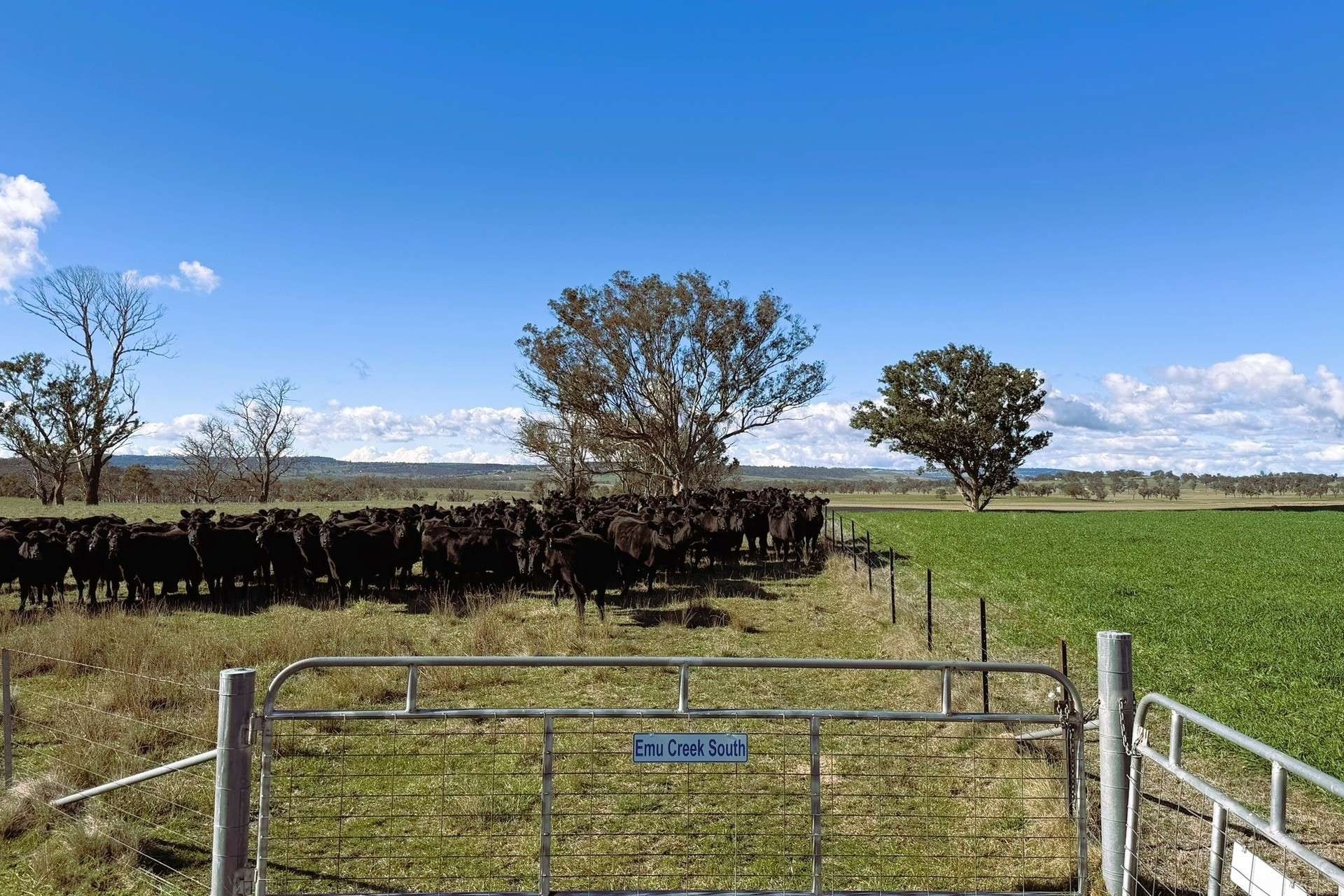 91 Gill Road, Walcha For Sale by Farmbuy.com - image 18