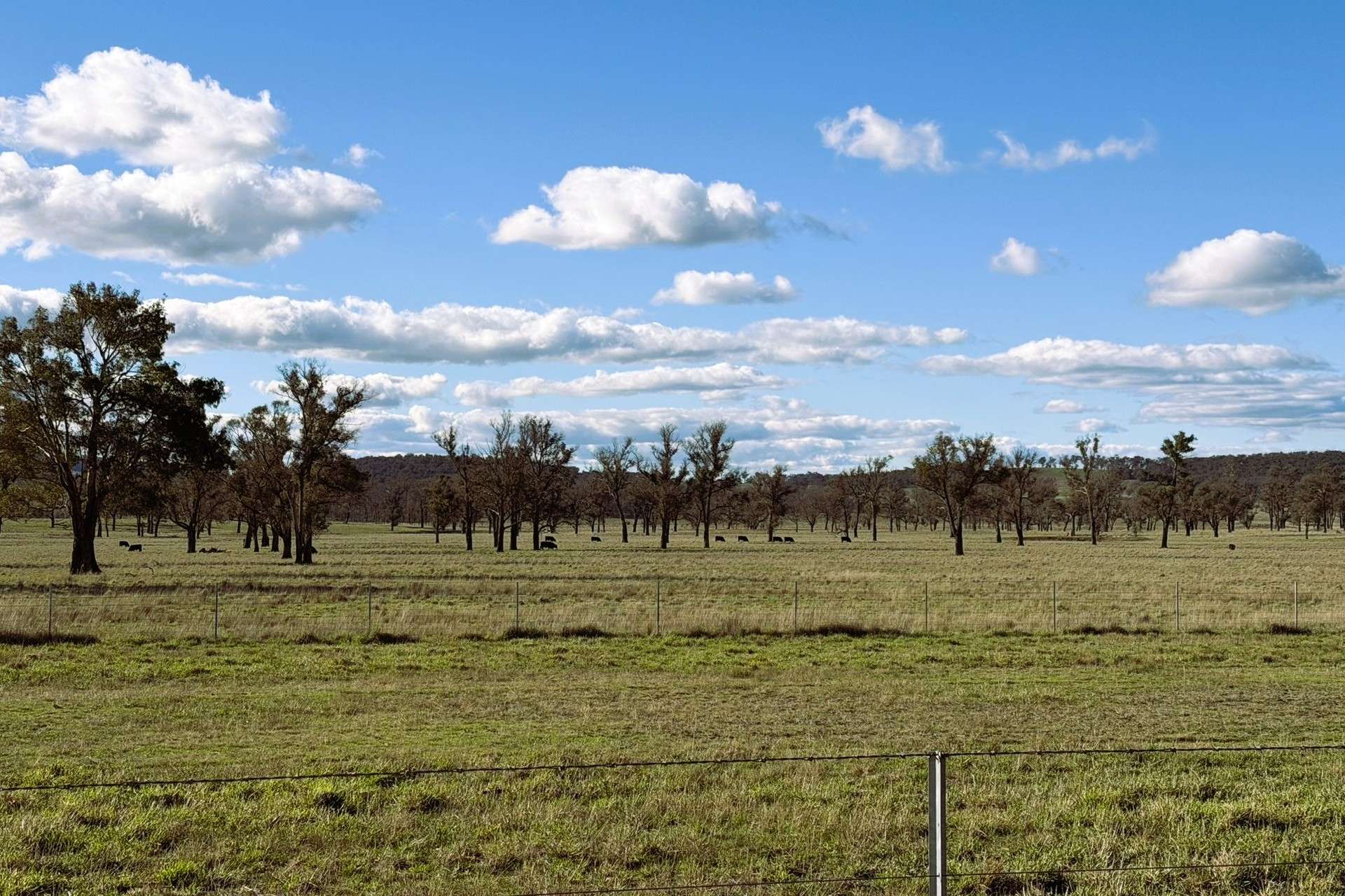 91 Gill Road, Walcha For Sale by Farmbuy.com - image 19