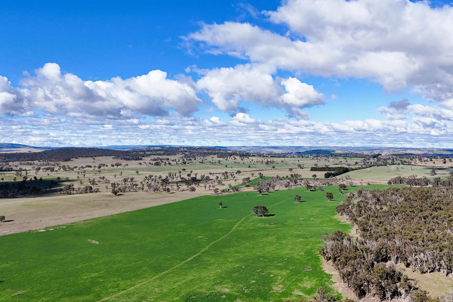 91 Gill Road, Walcha For Sale by Farmbuy.com - image 4