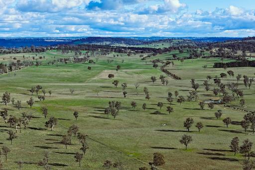 Farm For Sale - NSW - Walcha - 2354 - LARGE SCALE WALCHA BREEDING COUNTRY 