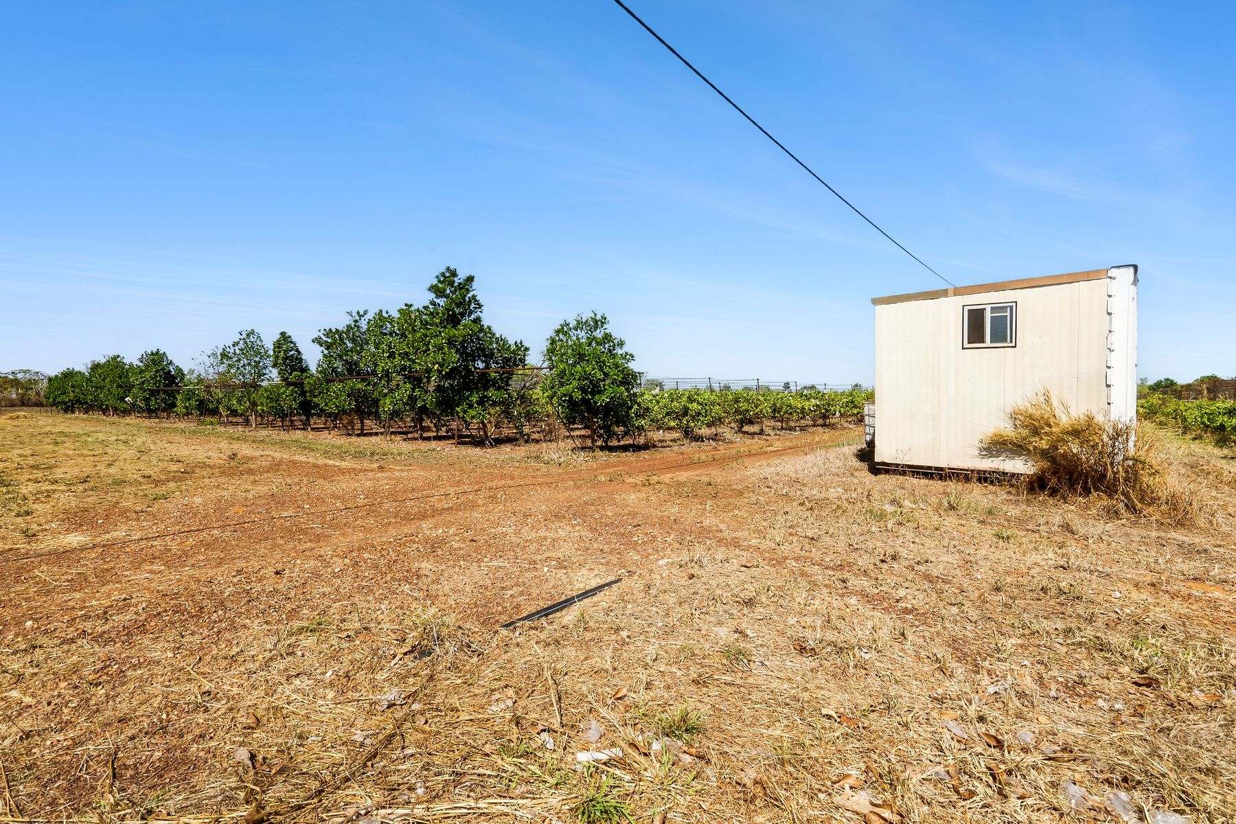 730 Leonino Road, Fly Creek Auction by Farmbuy.com - image 24