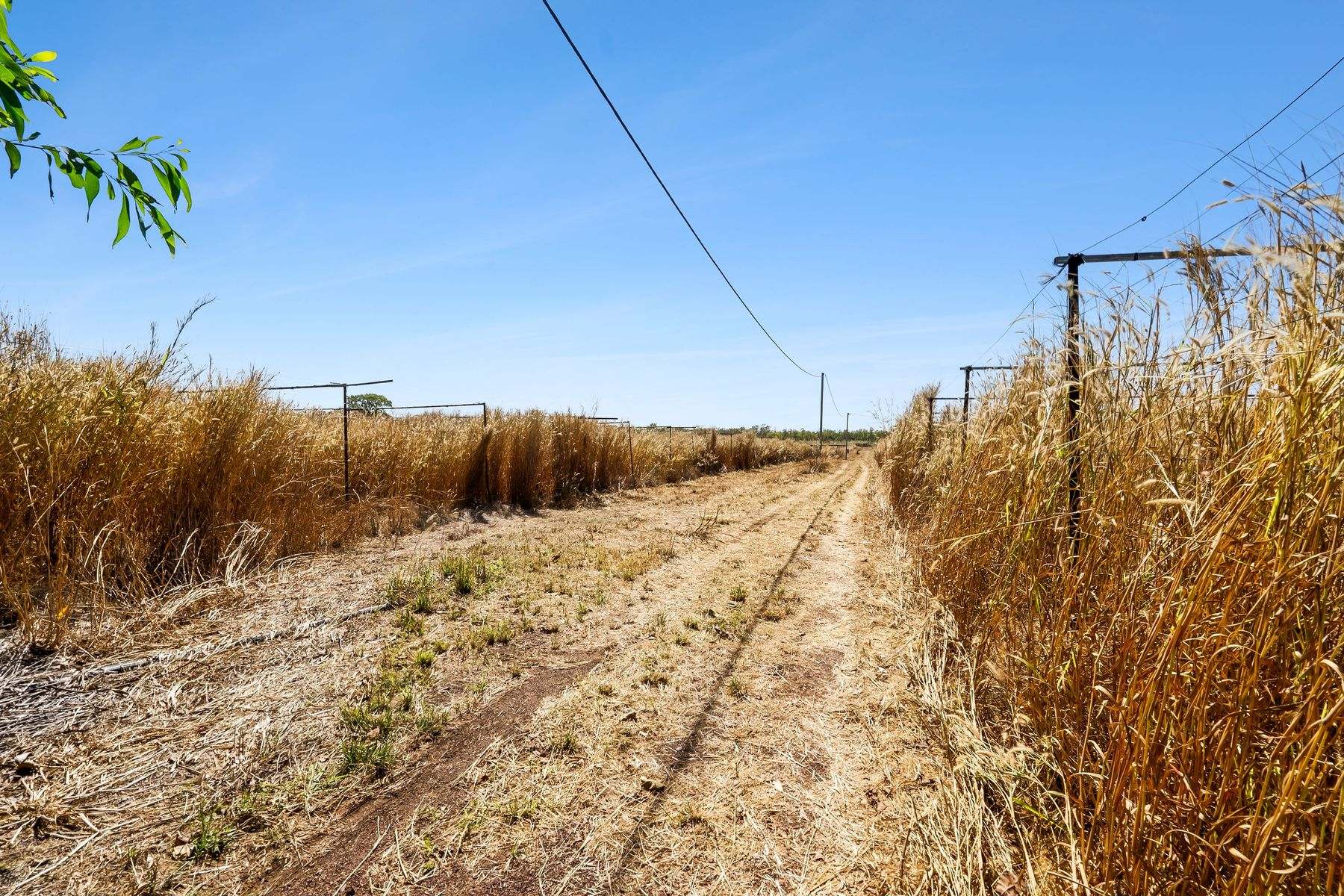 730 Leonino Road, Fly Creek Auction by Farmbuy.com - image 26