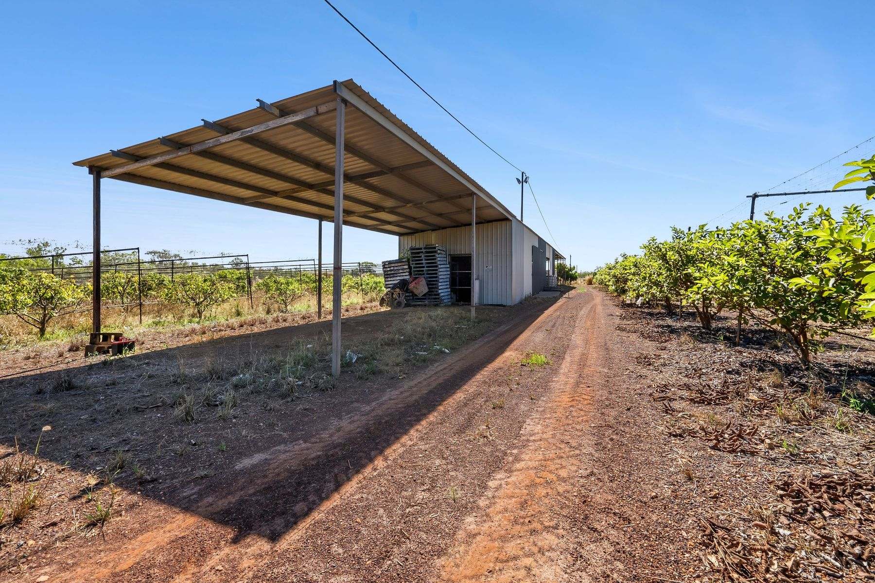 730 Leonino Road, Fly Creek Auction by Farmbuy.com - image 4