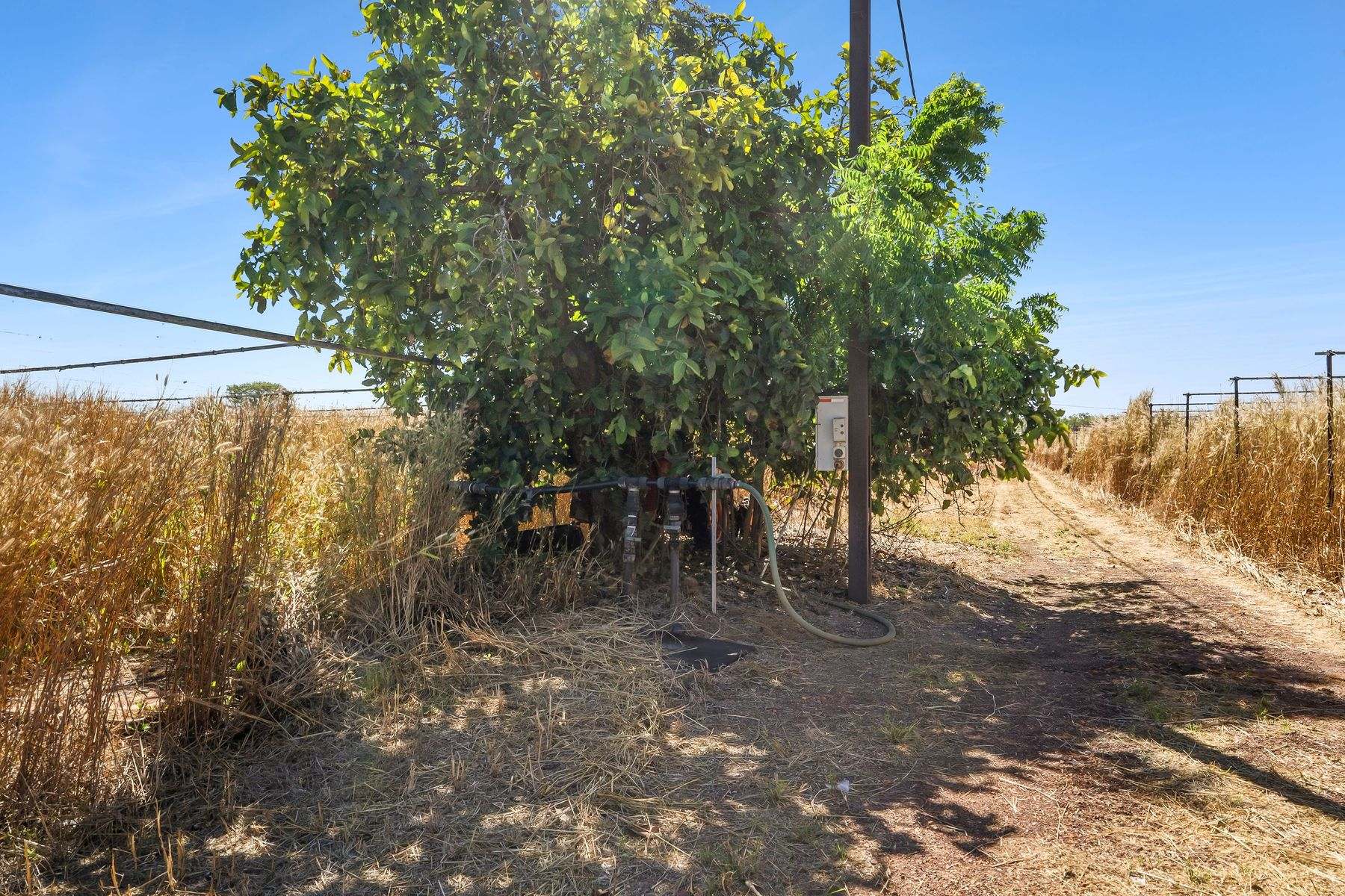 730 Leonino Road, Fly Creek Auction by Farmbuy.com - image 25