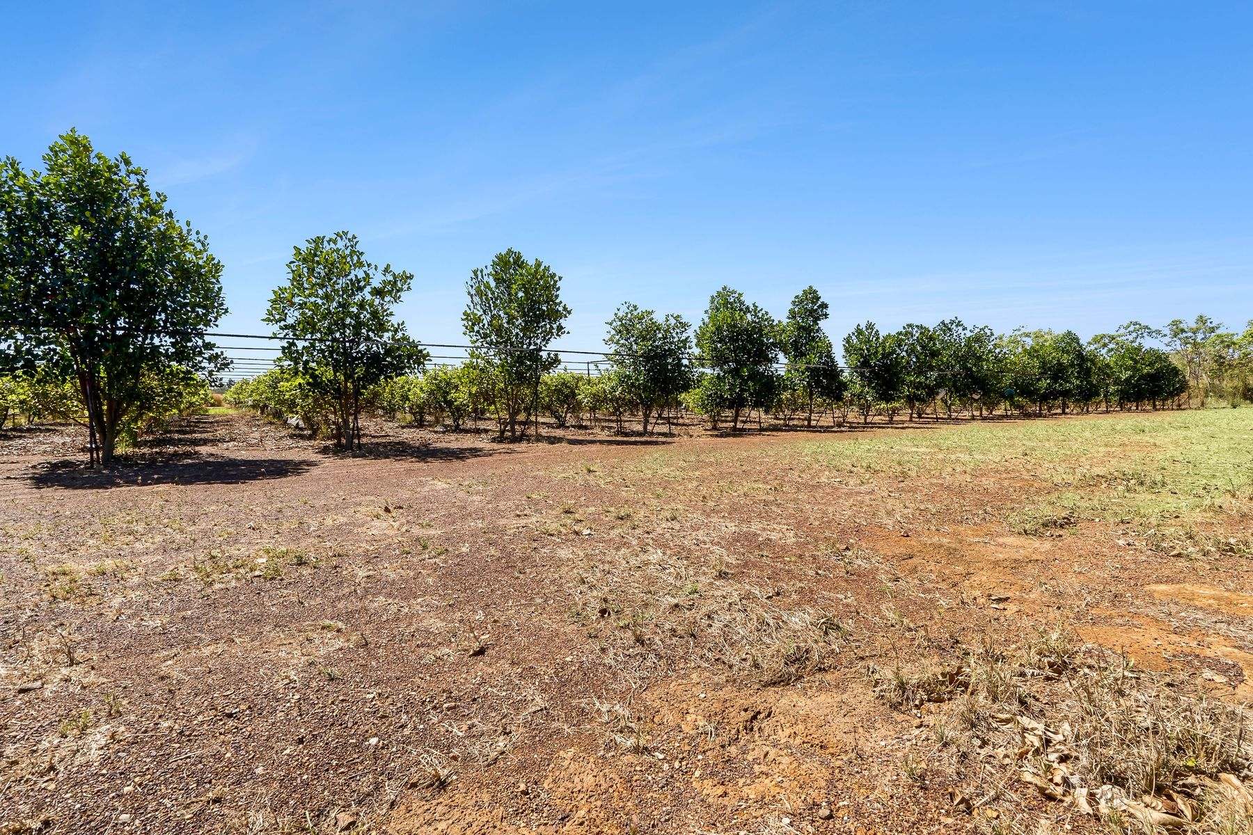730 Leonino Road, Fly Creek Auction by Farmbuy.com - image 21