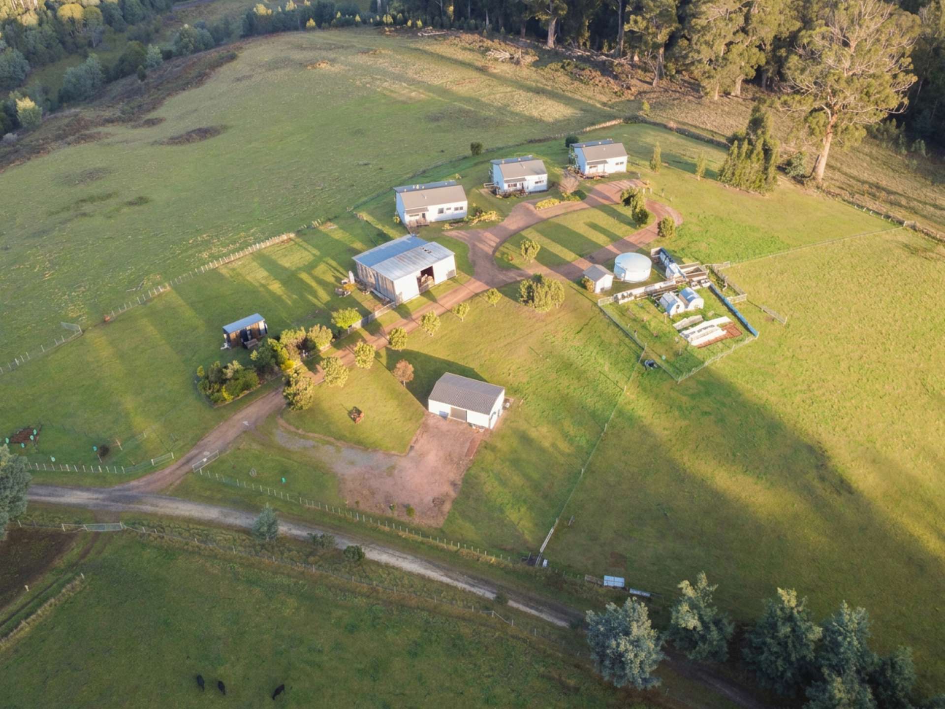 256 Careys Road, West Kentish For Sale by Farmbuy.com - image 3