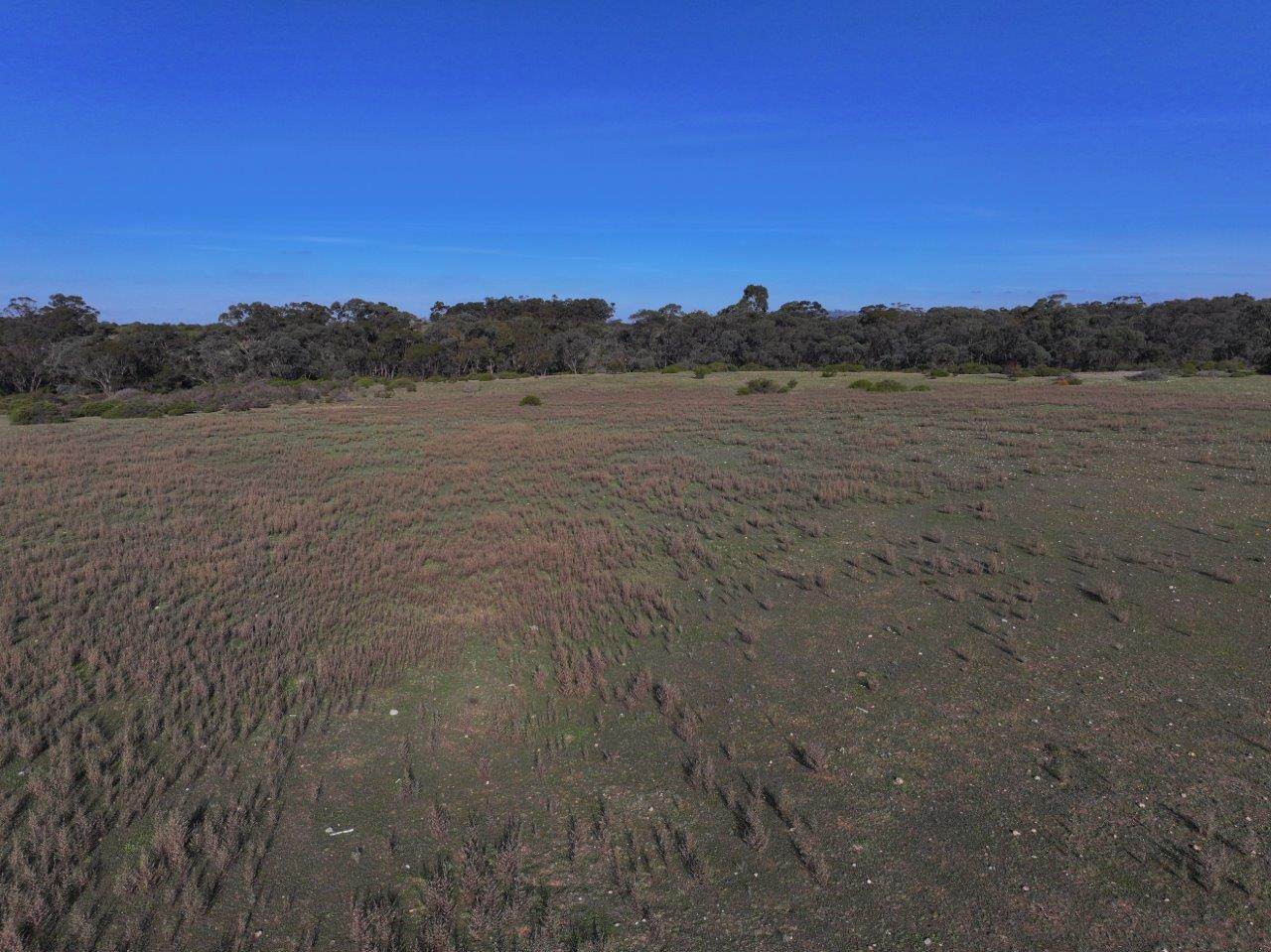 6803 Calder Highway, Wedderburn For Sale by Farmbuy.com - image 7