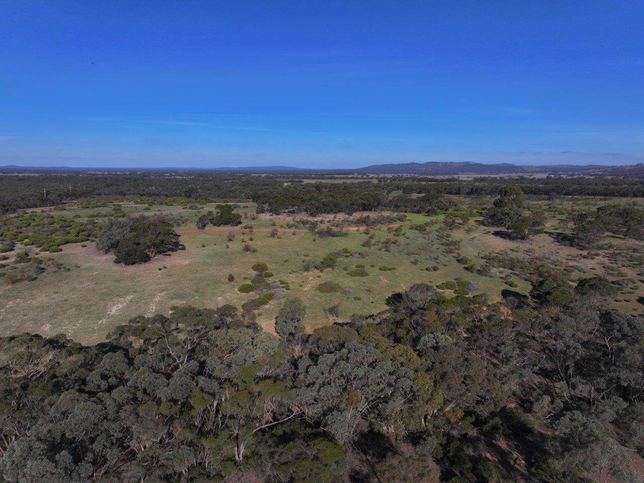6803 Calder Highway, Wedderburn For Sale by Farmbuy.com - image 8